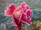 DSC01957