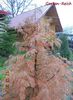 DSC02181