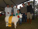 Expozitie in Spania