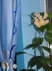 DSC06179