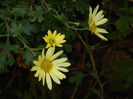 DSCN4604