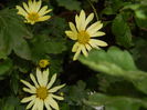 DSCN4607