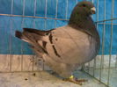 IMG00965-20131208-1416