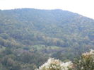 DSCN0527