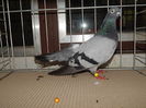 DSCN7942