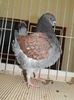 DSCN7962