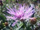 IMG_20140911_135433