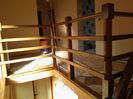WP_002345