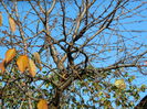 DSCN4665