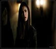 》Nup, n-a zis nimeni=)))#Klaus.Glumeaaam ;;) #Hayley