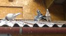 WP_20141129_09_23_45_Pro