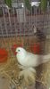 IMG-20141129-WA0004