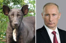 ...Vladimir Putin