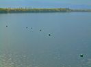 DSC04155