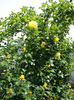DSC08196