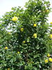 DSC08197
