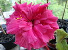 DSC08200