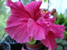 DSC08201