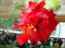 DSC08259