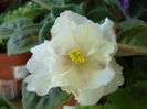 DSC08260