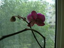 DSC08286