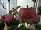 DSC08289
