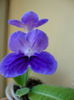 DSC08327