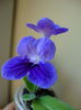 DSC08328