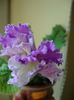 DSC08330