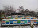 IMG_20141129_104810