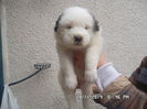 SAM_5393