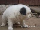 SAM_5395