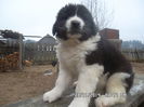 SAM_5416