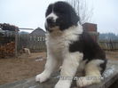 SAM_5417