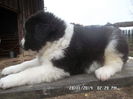 SAM_5418