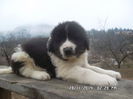 SAM_5419
