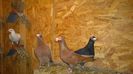 WP_20141129_20_28_57_Pro