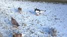 WP_20141129_10_41_12_Pro