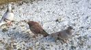 WP_20141129_10_42_12_Pro