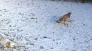 WP_20141129_10_42_37_Pro