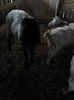 IMG_20141128_122403