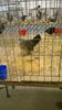 WP_20141128_050