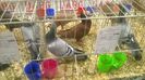 WP_20141130_078