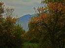 DSC04195