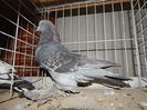 DSCN8117