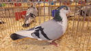 DSCN2609