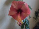 20141123_105353