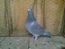 Imag 012067