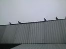 Imag 012004