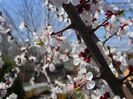 DSCN1564